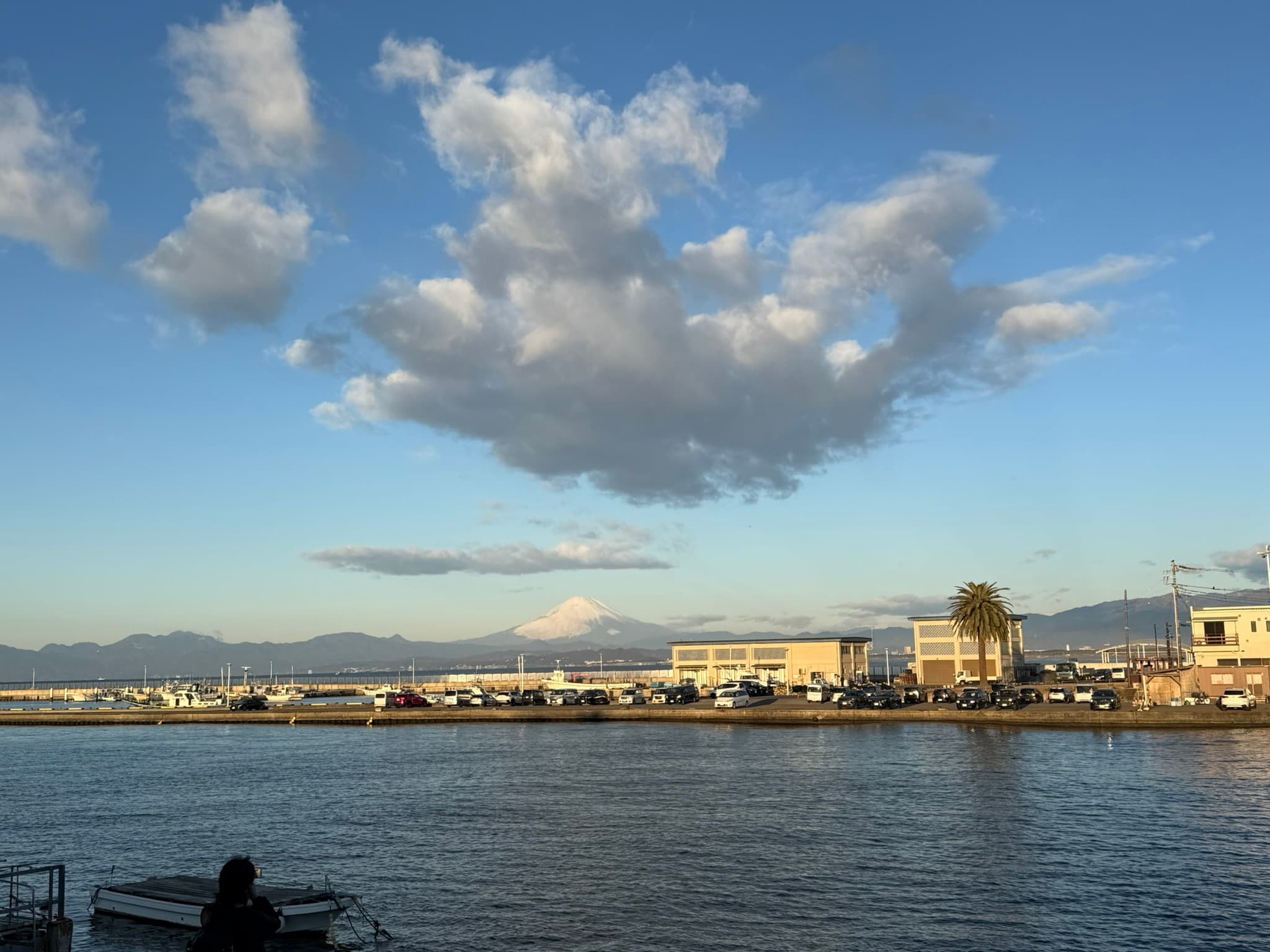 湘南藤沢市民マラソン2026出場の振り返り